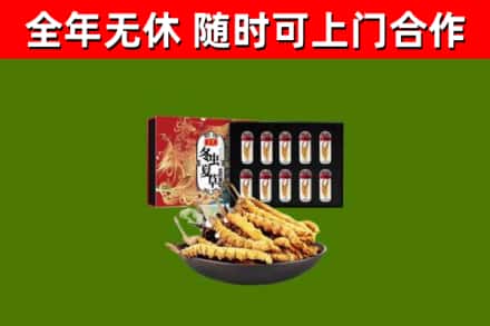 西安回收冬虫夏草价格
